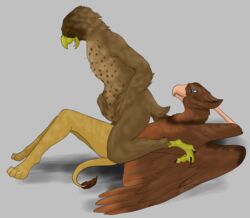 anthro avian bird cum cum_inflation female gryphon inflation male naughtybirdart owl penetration sex straight