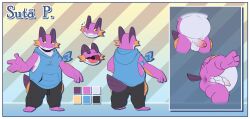 generation 3 pokemon from nintendo by deliverymutt