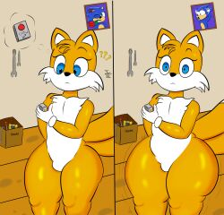 tails the fox from sega by jonsc