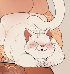 2025 anthro blush bodily_fluids closed_eyes cum domestic_cat dragon_ball duo felid feline felis fur genital_fluids human human_on_anthro interspecies karin_(dragon_ball) kemono korin_(dragon_ball) male male/male mammal open_mouth overweight overweight_male quanjiang sex solo_focus white_body white_fur yajirobe
