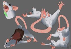 2025 5_fingers 5_toes accessories_only anatomically_correct anatomically_correct_genitalia anatomically_correct_penis animal_genitalia animal_penis artist_logo artist_name ass_up balls benji_(artist) big_balls black_whiskers buckteeth claws closed_eyes dated digital_media_(artwork) ear_piercing erection feet feral fingers fur genitals green_tongue grey_background grey_body grey_fur hi_res intet legs_up logo lying male male_feral mammal mount multiple_images multiple_poses murid murine nude nude_male on_back open_mouth paws penis piercing pose quadruped rat rat_tail rodent rodent_penis saddle sheath simple_background solo tail tapering_penis teeth text toe_claws toes tongue tongue_out whiskers