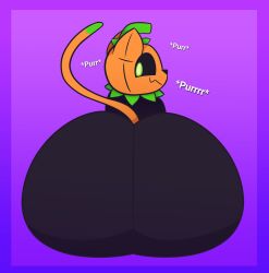 pumkat from halloween by tunemon