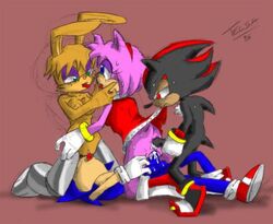 2006 amy_rose anal anthro archie_comics bunnie_rabbot female fur group_sex hedgehog male shadow_the_hedgehog sonic_(series) sonic_the_hedgehog straight straight_hair telsa