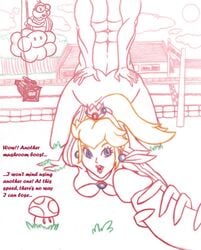 female handjob human limited_color limited_palette male mario_(series) mario_kart monochrome near_monochrome nintendo nude outdoors penis princess_peach sex soft_color straight straight_hair tagme