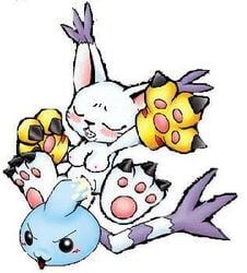 1girls baby baby_digimon chicomon color digimon digimon_(species) female fur furry gatomon sexless vulva white_fur