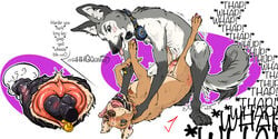 animal_genitalia anthro_on_feral anthro_penetrating anthro_penetrating_feral blush canid canine canis choking creampie dog domestic_dog domination enjoying female female_orgasm feral feral_penetrated hetero jambalayathepit knot knotting looking_pleasured male/female male_orgasm mammal maned_wolf orgasm penetration pit_bull pitbull pussy rough_sex sex straight vagina vaginal vaginal_penetration zoophilia