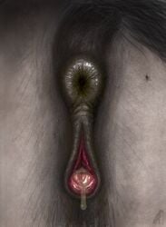 anus arthropod bodily_fluids butt darkmare dirty equid equine feces female feral fly_(animal) genital_fluids genitals hi_res horse insect mammal precum smearing smelly solo tail vulva