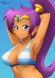shantae (character) from shantae by zel-sama