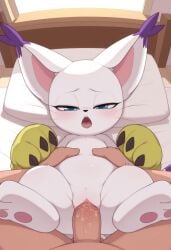gatomon from digimon by anguirus12345