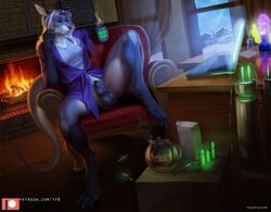 1futa 2019 3_toes 5_fingers anthro balls bathrobe beverage breasts claws clothed clothing cup fingers fully_sheathed furry futa_only futanari gynomorph hair inside intersex kangaroo kyra_(greyshores) macropod mammal marsupial patreon penis penis_tip robe sheath solo text toe_claws toes totesfleisch8 url white_hair