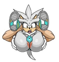 anthro anus ass clothing disembodied_hand duo full_nelson furry furry_only hi_res human lifted male male/male mammal poskapaints sega silver_the_hedgehog sonic_(series) sonic_the_hedgehog_(series) thong underwear