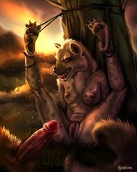 2017 anthro bondage bound breasts duo erection feet female forced fur gnoll hyaenid hyena imminent_rape mammal moardor nipples nude pawpads paws penis pussy rope rope_bondage spotted_hyena