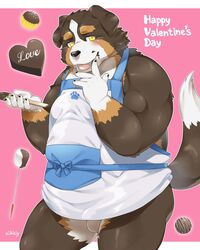 2019 anthro apron balls candy canid canine canis chocolate clothing domestic_dog english_text food holidays humanoid_hands male male_only mammal nikiciy overweight overweight_male pink_background simple_background solo text valentine's_day yellow_eyes