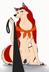 Balto (Film) Rule 34 Image
