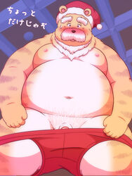 2015 anthro balls belly blush christmas clothing felid flaccid holidays humanoid_hands japanese_text lako male male_only mammal moobs navel nipples overweight overweight_male pantherine penis solo text tiger underwear