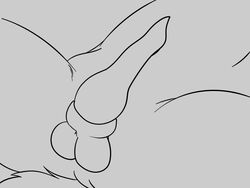 animated balls becoming_erect black_and_white canid canine colrblnd_(artist) crotch_shot disney erection fox male male_only mammal nick_wilde penis spread_legs spreading zootopia