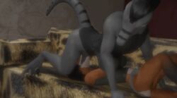 3d all_fours animated anthro anthro_on_anthro canid canine claws das dinosaur dromaeosaurid duo erection fellatio female fox fur gloves_(marking) grey_scales interspecies lying male mammal markings multicolored_fur multicolored_scales on_back oral oral_penetration penetration reptile scales scalie sex socks_(marking) straight stripes theropod thrusting toe_claws two_tone_fur two_tone_scales