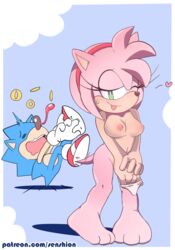 amy_rose anthro areolae black_nose blood blue_fur breasts female green_eyes hair heart hedgehog losing_rings male nipples nosebleed one_eye_closed panties pink_fur pink_hair rings sega senshion shoes sonic_(series) sonic_the_hedgehog sonic_the_hedgehog_(series) straight tail tailwag undressing video_games