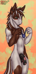 anthro blush chokodonkey clothing donkey equine green_eyes half-erect male male_only mammal nude panties penis solo thong underwear