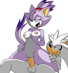 anthro anthro_on_anthro balls blaze_the_cat breasts closed_eyes domestic_cat duo erection eulipotyphlan felid feline felis female female_on_top female_penetrated grin half-closed_eyes happy happy_sex hedgehog holding_breast imbeingarealdoofus_(artist) looking_pleasured male male_penetrating mammal nipples no_navel nude on_top open_mouth penetration penis pussy pussy_juice reverse_cowgirl_position sex silver_the_hedgehog simple_background smile sonic_(series) spread_legs straight vaginal_penetration white_background