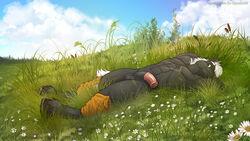 balls black_fur blue_sky clothed clothing cloud equine faf flower fur grass hair half-erect horse lying male male_only mammal nature outside penis plant shorts_down sky solo topless white_hair