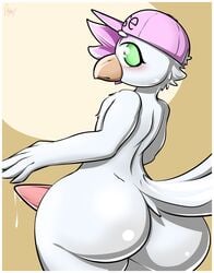 2019 absurd_res animal_genitalia anthro ass avian baseball_cap beak big_butt bird blush border gull hat hat_only hi_res looking_at_viewer male male_only mostly_nude penis sanders sash_(backsash) signature solo white_border