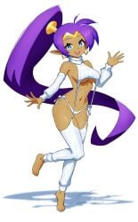 shantae (character) from shantae by revenantart