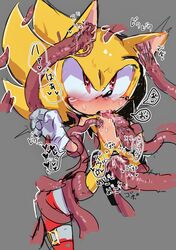 sonic the hedgehog from sonic (series)
