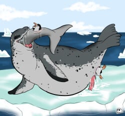 2022 anal anal_vore anus aquatic beak bodily_fluids cum erection eyes_closed feet_first female female_prey feral feral_pred feral_prey flippin-rad genital_fluids genitals grey_body grey_fin grey_tail group head_first ice leopard_seal male male_pred mammal oral_vore orange_beak penis pink_penis pinniped saliva sea seal tail unbirthing vaginal vore water
