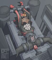 shadow the hedgehog from sega by losttimpactt