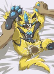 1boy 1girls 2018 3_toes 4_fingers anthro armpits ass bed belly black_fur black_skin blue_eyes blue_fur blush censored claws cum cum_in_mouth cum_inside cum_on_body cum_on_face cum_on_tongue dark-skinned_male dark_skin disembodied_penis drooling duo erection eye_contact faceless_male facial feet feline female female_focus feral flat_chest furry hand_holding holding human human_on_anthro interspecies leaking leg_grab legendary_pokémon legs_up looking_at_viewer lying male male_on_anthro male_penetrating male_pov mammal missionary_position nintendo no_nipples nude on_back on_bed open_mouth pawpads paws penetration penis pinned_down pokémon_(species) poképhilia pokemon pokemon_usm pov saliva sex soles solo_focus spread_legs spreading stomach_bulge stripes sweat takura_mahiro tears thin_waist tongue vaginal vaginal_penetration video_games wet wide_hips yellow_fur zeraora