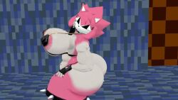 amy rose from sega by malware