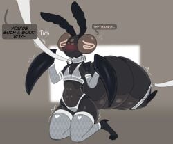 1boy abs antennae_(anatomy) arthropod arthropod_abdomen artlegionary blush bra bug cerci_(anatomy) collar dizzy_(artlegionary) dizzy_eyes femboy hips panties praise simple_background speech_bubble text thick_thighs thighhighs thighs