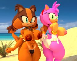 2girls 3d abs amy_rose animal_ears anthro back_view badger bare_shoulders beach bikini bikini_bottom blue_eyes bracelet breasts cleavage curvy detailed_background duo erect_nipple erect_nipples eyelashes female female_only front_view furry gloves green_eyes hairy_pussy half-dressed half_dressed headband hedgehog hourglass_figure humanoid large_breasts looking_at_viewer looking_back lowkeydiag mammal multiple_girls necklace no_bra open_mouth outdoor outdoors pink_skin pose posing pubic_hair sand sega shadow shoes short_hair sideboob smile sonic_(series) sonic_boom sticks_the_badger sticks_the_jungle_badger sticks_the_tejon tail topless voluptuous water white_gloves wide_hips