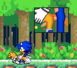 anal anal_sex animated canid canine close-up cum cum_in_ass cum_inside footwear fox gay handwear hedghog male mammal outdoor_sex outside penetration penis sex skye_prower slasher333 sonic_(series) sonic_the_hedgehog yaoi