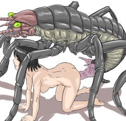 1girls all_fours ass black_hair breasts censored closed_eyes dotsukimawasu female from_behind insects interspecies male monster mosaic_censoring nipples open_mouth original penetration penis sex short_hair size_difference spread_legs vaginal_penetration