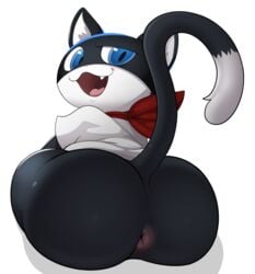 morgana (persona) from atlus by jerseydevil