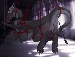 3_toes anus bondage bondage bound bruised claws collar digital_drawing_(artwork) digital_media_(artwork) dragon enda_myx erection feet feral genitals gray_dragon_sogarr hi_res holding_object holding_object_with_tail holding_whip horn male muzzle_(object) mythological_creature mythological_scalie mythology paws penis quadruped restraints rope rope_bondage rope_muzzle scalie solo suspension suspension_bondage tail toe_claws toes whip whip_mark_on_butt wings