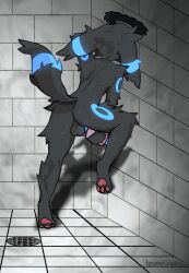 1boy anthro anthro_only ass bite biting_lip black_body black_fur bodily_fluids eeveelution fluffy fur game_freak generation_2_pokemon genitals glowing glowing_genitalia glowing_penis half-closed_eyes halo hi_res izumicream knot male male_only male_umbreon masturbation narrowed_eyes nintendo one_eye_closed pawpads penetrable_sex_toy penis pokemon pokemon_(species) rear_view saint_renzo sex_toy shiny_pokemon shiny_umbreon shower shower_masturbation solo solo_anthro solo_male source_request sweat sweatdrop transparent_sex_toy umbreon worried worried_look