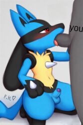 2d anthro anthro_male anthro_only blowjob foreskin furry furry_male furry_only gay lucario male male_focus male_only nintendo oral penis pokemon pokemon_(species) shy small_penis snout source_request tight_foreskin uncircumcised