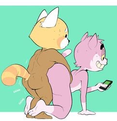 aggressive_retsuko ailurid anal anal_sex anthro domestic_cat eroborus felid feline felis male male_only mammal penetration phone red_panda resasuke roz smooth_fur yaoi