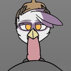 absurd_res animated avian duo eye_contact fellatio fellatio_from_feral female feral first_person_view friendship_is_magic gilda_(mlp) gryphon hasbro hi_res knot looking_at_another male my_little_pony mythological_avian mythological_creature mythology oral penile penis sex sombird wings