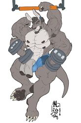 1boy 2018 abs anthro armpit_hair arms_above_head balls beard bigroodraws champagnecub claws clothing diphallia diphallism ear_piercing exercise extreme_muscles facial_hair facial_piercing flexing fur gauged_ear green_eyes grey_fur huge_muscles invalid_tag long_ears macropod male male_focus male_only mammal marsupial multi_arm multi_limb multi_nipple multi_pec multi_penis muscular muscular_male nipples nose_piercing nose_ring paws penis piercing sharp_claws simple_background solo solo_focus speedo swimsuit toe_claws vein veiny_penis weightlifting white_background workout