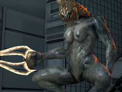 arbiter from halo (series)