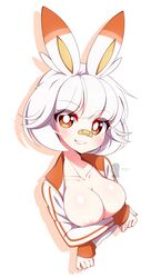 scorbunny from nintendo by iryanic
