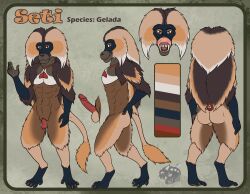 absurd_res anthro baboon furry gelada haplorhine hi_res invalid_tag mammal model_sheet monkey old_world_monkey primate sheet_(disambiguation)