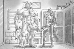 abs anthro erection furry furryrevolution legoshi_(beastars) male/male muscular muscular_male nipples obliques pecs penis riz_(beastars)