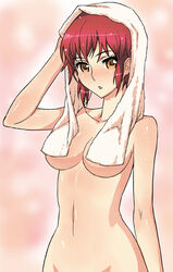 breasts kaibutsu_oujo medium_breasts monster_princess nude orange_eyes princess_resurrection red_hair riza_wildman shiono_etorouji short_hair tomboy towel wet