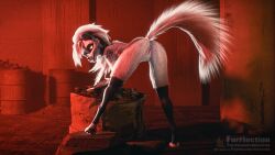 16:9 3d_(artwork) anthro ass bent_over black_clothing black_nails breasts canid canid_demon canine canis clothed clothing collar colored_nails demon digital_media_(artwork) female fluffy fluffy_tail fur furflection genitals glowing glowing_eyes hair hellhound helluva_boss hi_res legwear long_hair looking_at_viewer loona_(helluva_boss) mammal mythological_canine mythological_creature mythology nails pussy red_sclera solo spiked_collar spikes standing tail thigh_highs white_body white_fur white_hair widescreen wolf