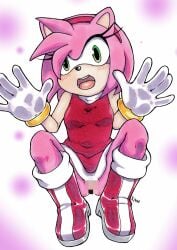 amy_rose censored_pussy embarrassed_female kinu_(artist)